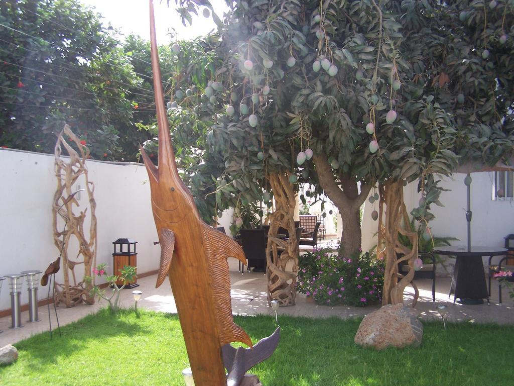 Mermoz 3*